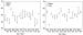 Abb. 6: Functional Age Index