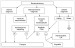 Abb. 2: Synkopen - Evaluierung