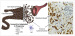 Abb. 3: Immunity´s adaption - Pregnancy