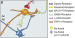Aktuelles Bild - Abb. 1b: Hinterhornneuron - Impuls