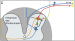 Abb. 1c: Hinterhorn des Rückenmarks