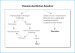 Abb. 7: Morbus Basedow - Therapie