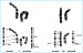 Abb. 5: Translokation