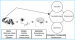 Abb. 1: Imaging Genetics