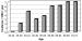 Abb. 2: Peripheral Arterial Occlusive Disease