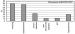 Abb. 3: Peripheral Arterial Occlusive Disease