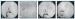 Aktuelles Bild - Abb. 13a-d: 