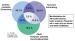 Abb. 1: Atherothrombose-Manifestationen