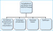 Aktuelles Bild - Abb. 1: IVP/ICSI-Therapie