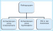 Abb. 3: IVF/ICSI-Therapie