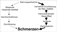 Abbildung 1: Schmerz