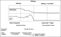 Abbildung 1: Hepatitis B