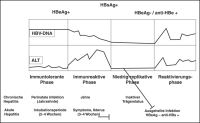 Abbildung 2: Hepatitis B