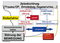 Abbildung 1: Gelenksstörungen