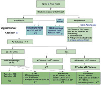 Abbildung 23: Differentialdiagnostik - BQRST