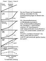 Abbildung 2: Phasen