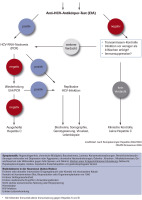 Abbildung 1: Hepatitis C