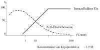 Abbildung 1: Zelle - Eiskristallbildung