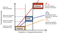 Abbildung 4: Kinetik