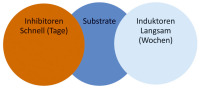 Abbildung 2: Substrat - Enzyme