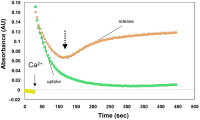 Figure 1: Calcium Kinetics