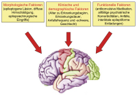 Abbildung 1: Epilepsie