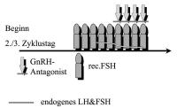 Abbildung 1: IVF-Protokoll