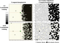 Abbildung 4: Eyetracking