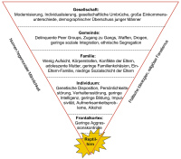 Abbildung 1: Männliche Aggression