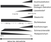 Abbildung 1: Chronische Pankreatitis