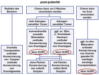 Abbildung 1: Fertilitätsprotektion