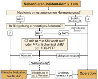 Abbildung 1: Nebennieren-Inzidentalom