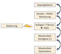 Abbildung 1: Hyperglykämie