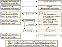 Abbildung 3: Metastase - Plasmozytom