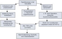 Abbildung 1: Hypothyreose - Schwangerschaft