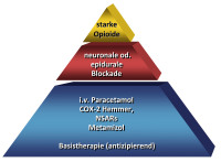Abbildung 1: Akutschmerztherapie