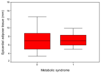 Figure 3: Epicardial adipose tissue thickness - Metabolic syndrome