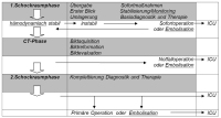 Abbildung 1: Polytrauma