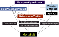 Abbildung 1: Renaler HPT