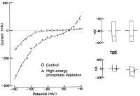 Figure 1: KATP-Kanal - Phosphatabhängigkeit