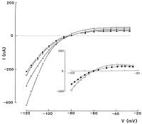 Figure 2: Leitfähigkeit - Magnesium