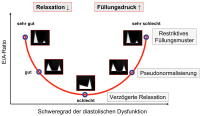 Abbildung 6: Transmitrales Einstromprofil