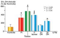 Abbildung 2: Tibolon - 17beta-HSD