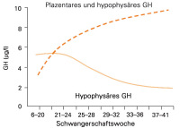 Abbildung 2: GH