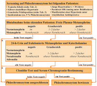 Abbildung 4: Phäochromozytom