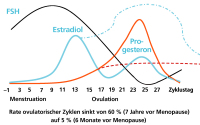 Abbildung 1: Zyklus- Hormonveränderung