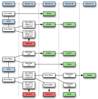 Abbildung 1: AHC - CHC - PEGIFN - RBV