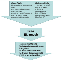Abbildung 1: Präeklampsie/Eklampsie
