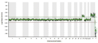 Abbildung 7: Array CGH profile