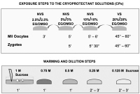 Abbildung 1: Exposure Steps CPs